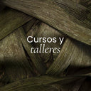 Cursos y Talleres